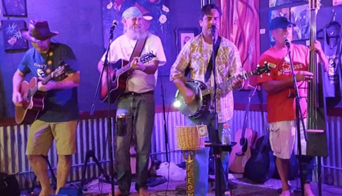 The-String-Assassins-2017-resized-1-scaled