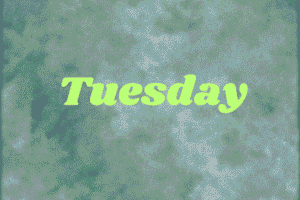 Tuesday-2025-600-x-400-px